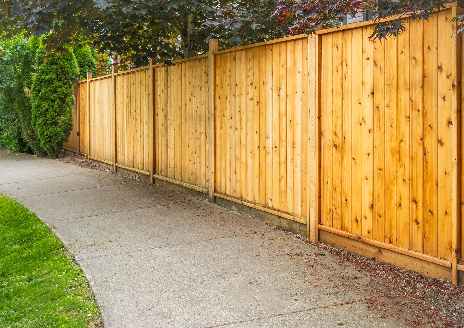 Big new wooden fence around the house and trees. . Street photo. Fencing and gates. Canadian Lumber, Red Cedar.